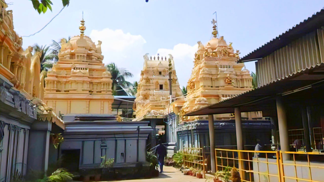 ఈ క్షేత్రం కాణిపాకం వరసిద్ధి వినాయక క్షేత్రం కన్నా పురాతనమైనదని చరిత్రకారుల కథనం. సాధారణంగా ప్రతీ దేవాలయాలు వినాయకుడు విగ్రహం తూర్పుముఖంగా ఉంటుంది. అయితే ఇక్కడ శ్రీ విఘ్నేశ్వరస్వామి దక్షిణాభిముఖుడై ఉంటాడు. అందుకనే ఈ గ్రామంలో దక్షిణ సింహాద్వారంతో నిర్మించిన ఇళ్ళకు ఎటువంటి విఘ్నాలు కలుగవని, ఆ ఇంట్లో నివసించే వారికి సిరిసంపదలకు లోటు ఉండదని గ్రామస్తుల నమ్మకం. 
 