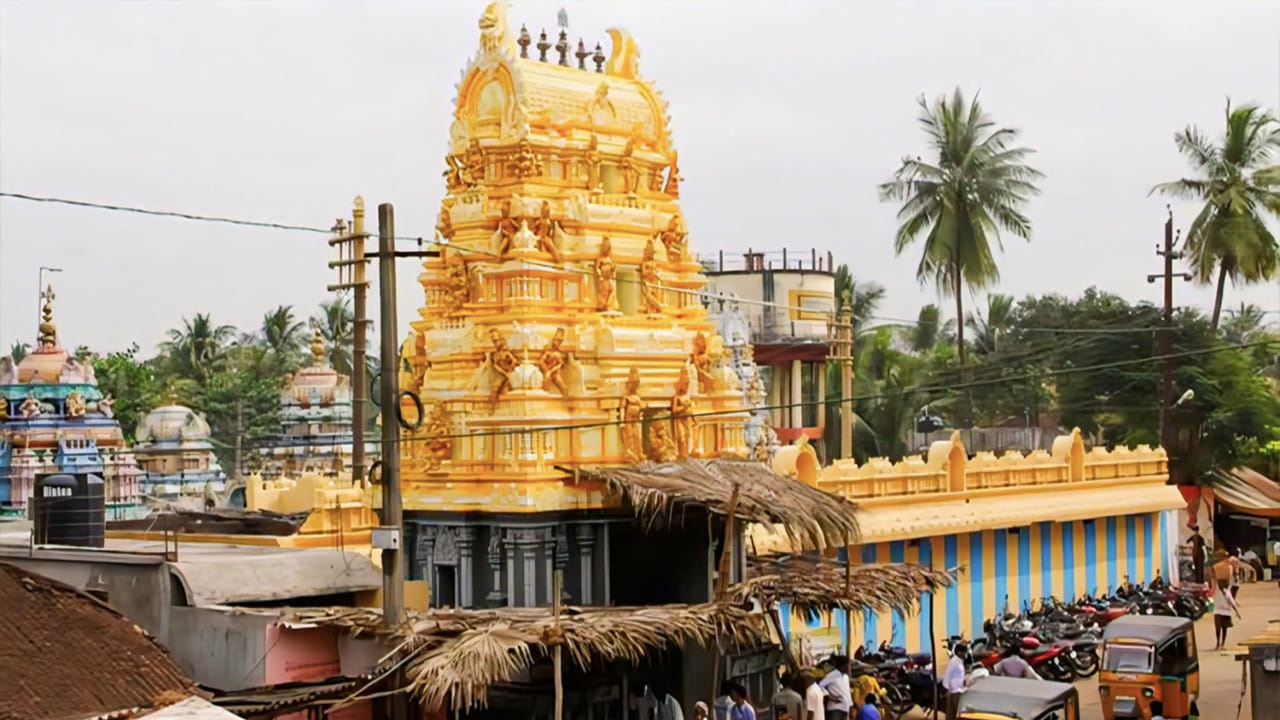 
కోనసీమ వాసులు మాత్రమే కాదు దేశం నలుమూలల నుంచి రోజూ వేలాది మంది భక్తులు, ప్రముఖులు వినాయకుడిని దర్శించుకుంటారు. స్వామివారికి కొబ్బరికాయలు సమర్పిస్తారు. ప్రశాంత వాతావరణంలో గోదావరి నదీ తీరం ప్రాంతలో ఉన్న ఈ నారికేళ గణపతిని కోనసీమ వెళ్ళినప్పుడు తప్పని సరిగా దర్శించుకోండి. స్వామి కృపకు పాత్రులు కండి. 
