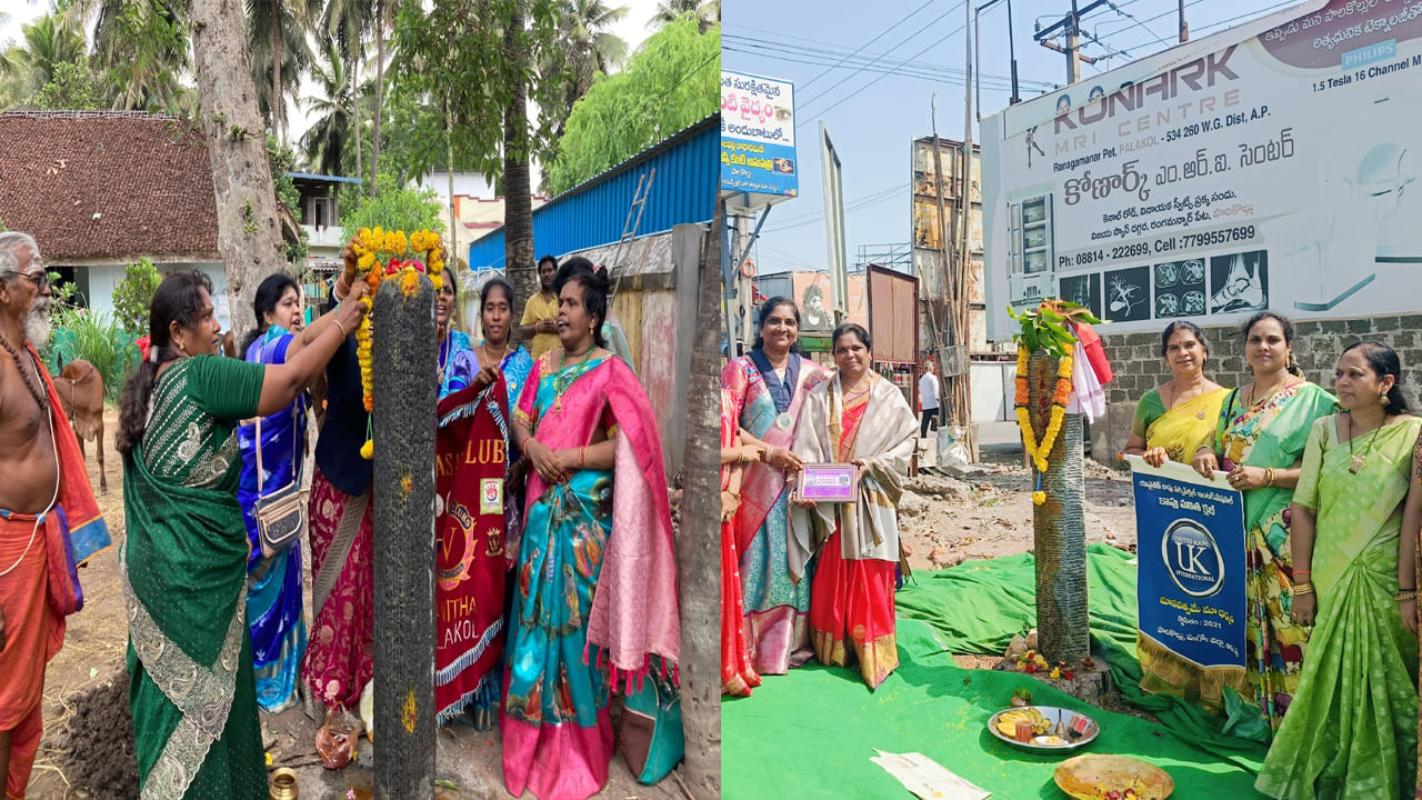 Andhra Pradesh: పాలకొల్లులో ఆవుల కోసం గరుకు స్తంభాల ఏర్పాటు.. ఈ గరుకు స్తంభం విశిష్టత ఏమిటంటే..