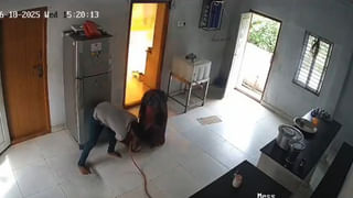 Watch: వామ్మో..  డ్రాగన్ కంట్రీ కంత్రీ ప్లాన్‌.. దోమ సైజులో డ్రోన్‌ల తయారీ.. చూస్తే అవాక్కే..!