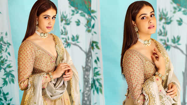Genilia D Souza: సౌత్ సినిమాలపై విమర్శలు.. యాంకర్కు దిమ్మతిరిగే కౌంటరిచ్చిన జెనీలియా..