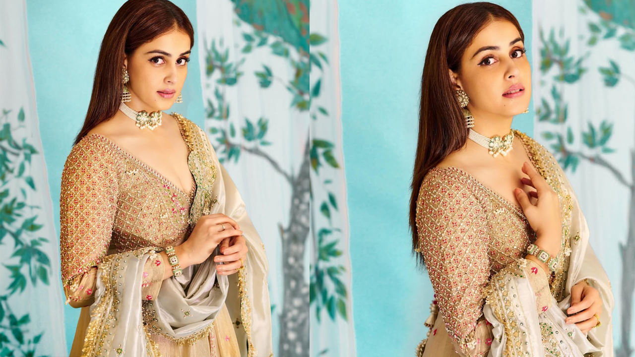 Genilia D Souza: సౌత్ సినిమాలపై విమర్శలు.. యాంకర్‏కు దిమ్మతిరిగే కౌంటరిచ్చిన జెనీలియా..