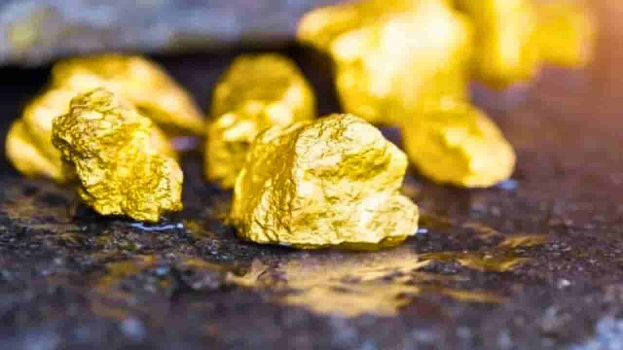 Gold Mines: దేశంలో మొదటి ప్రైవేట్ బంగారు గని.. ఏపీలోనే నిర్మాణం