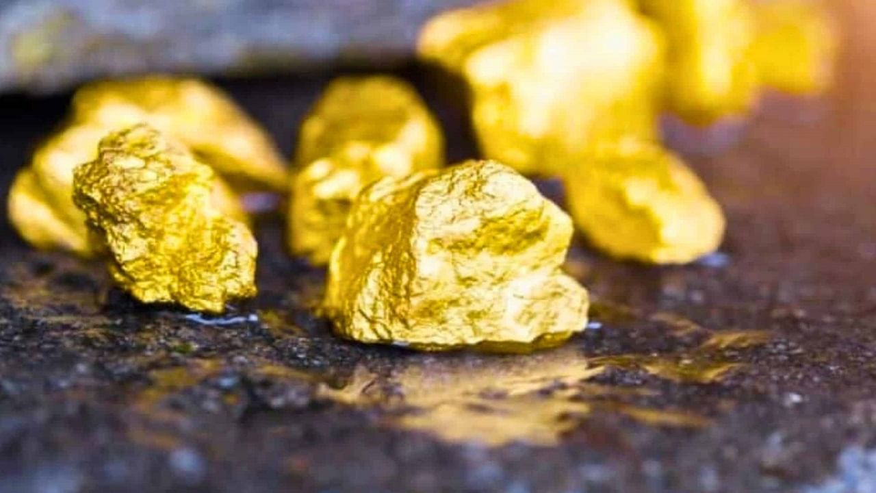Gold Mines: దేశంలో మొదటి ప్రైవేట్ బంగారు గని.. ఏపీలోనే నిర్మాణం