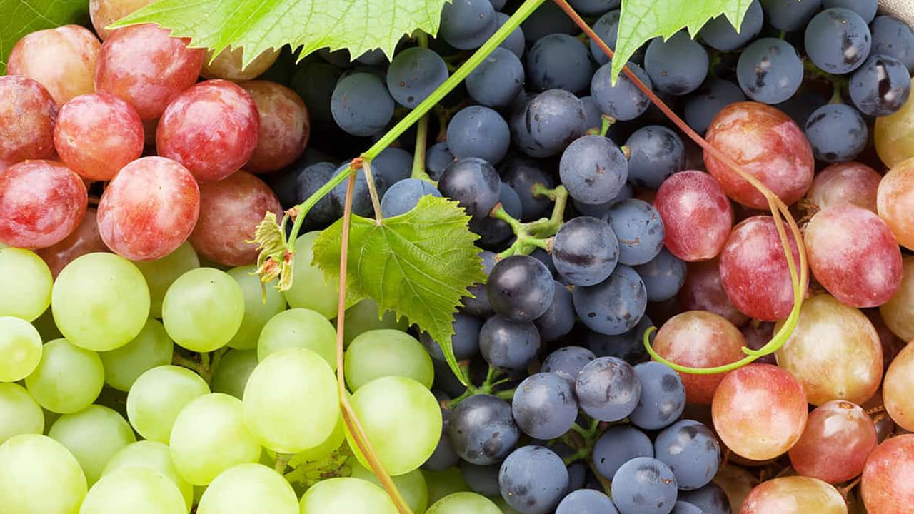 ద్రాక్షలో యాంటీఆక్సిడెంట్లు పుష్కలంగా ఉంటాయి. ఇది క్యాన్సర్ను నివారించడంలో సహాయపడుతుంది. నల్ల ద్రాక్షల్లో ఫ్లేవనాయిడ్స్, రెస్వెరెట్రాల్ అనే సమ్మేళనాలు అధికంగా ఉంటాయి. ఇవి యాంటీ క్యాన్సర్ గుణాలను కలిగి ఉంటాయి. అందువల్ల నల్ల ద్రాక్షలను రోజూ తింటుంటే క్యాన్సర్ రాకుండా అడ్డుకోవచ్చునని ఆరోగ్య నిపుణులు చెబుతున్నారు. నల్ల ద్రాక్షలను తినడం వల్ల ఆక్సీకరణ ఒత్తిడి తగ్గుతుంది. ఇది క్యాన్సర్ వచ్చే అవకాశాలను తగ్గిస్తుంది. నల్ల ద్రాక్షల్లో ఉండే యాంటీ ఆక్సిడెంట్లు ఫ్రీ ర్యాడికల్స్ను నిర్మూలిస్తాయి. దీంతో ఆక్సీకరణ ఒత్తిడి తగ్గి క్యాన్సర్ రాకుండా ఉంటుంది.