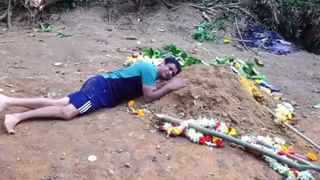 Viral: గేదెల షెడ్‌లో నుంచి చప్పుళ్లు.. ఏంటా అని వెళ్లి చూడగా…