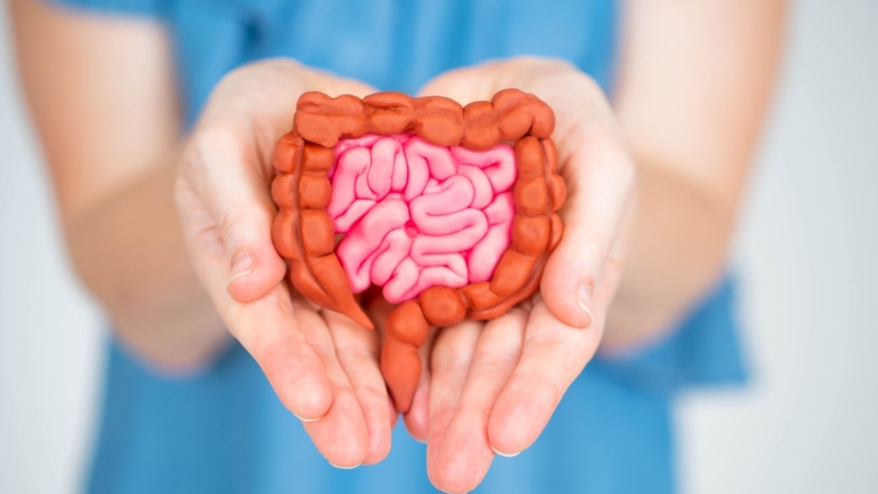 Gut Health: గట్ హెల్త్ బాగుండాలంటే.. ఇవి తినాల్సిందే..! పేగులకు మస్తు మంచిది..!