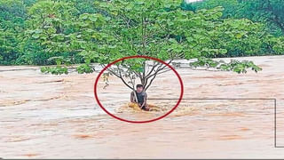 Viral Video: సెల్ఫ్ డ్రైవ్‌ చేసుకుంటూ యజమానికి ఇంటికి చేరిన కారు… హైవేలు, ట్రాఫిక్‌ సిగ్నళ్లు దాటుకుంటూ ప్రయాణం