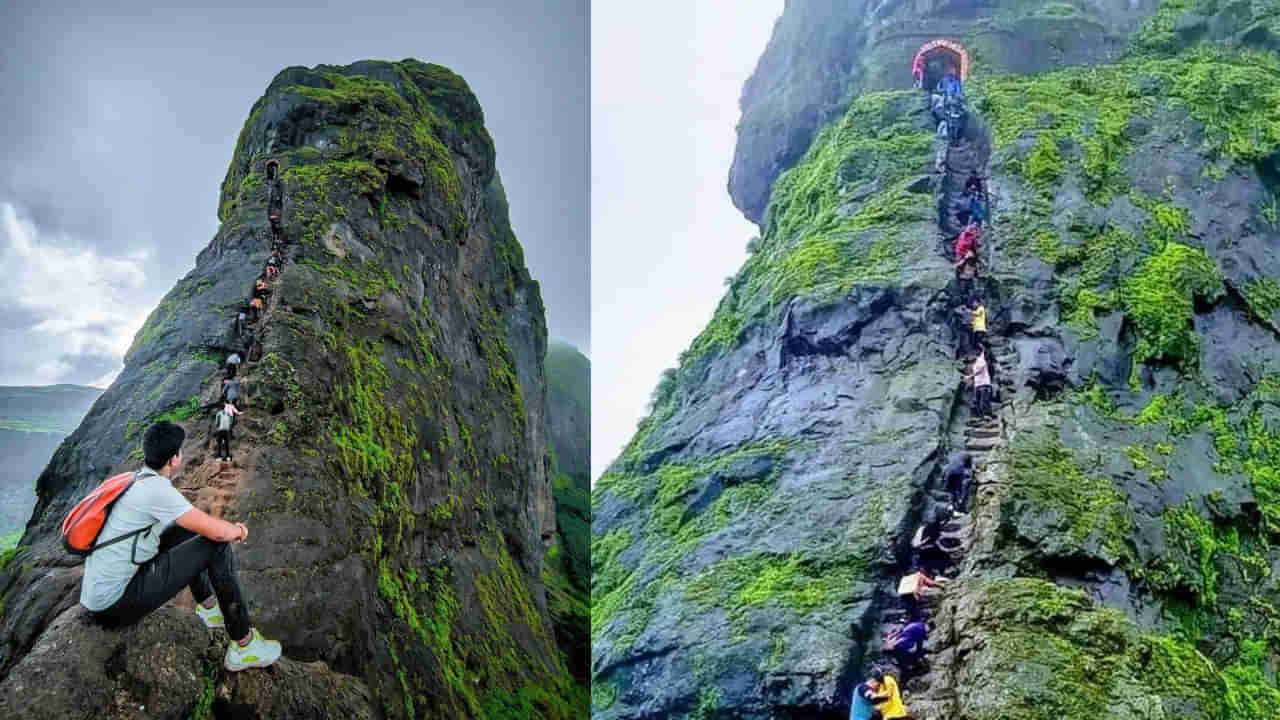 Harihar Fort: ఈ ఫోర్ట్ ని ఎక్కాలంటే ఓ సాహస యాత్ర.. ప్రమాదం అంచున హరిహర కోట
