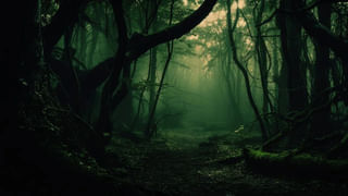 Thyroid Diet: థైరాయిడ్ బాధితులు తప్పక తీసుకోవల్సిన ఆహారాలు ఇవే..! తెలుసుకోండి..