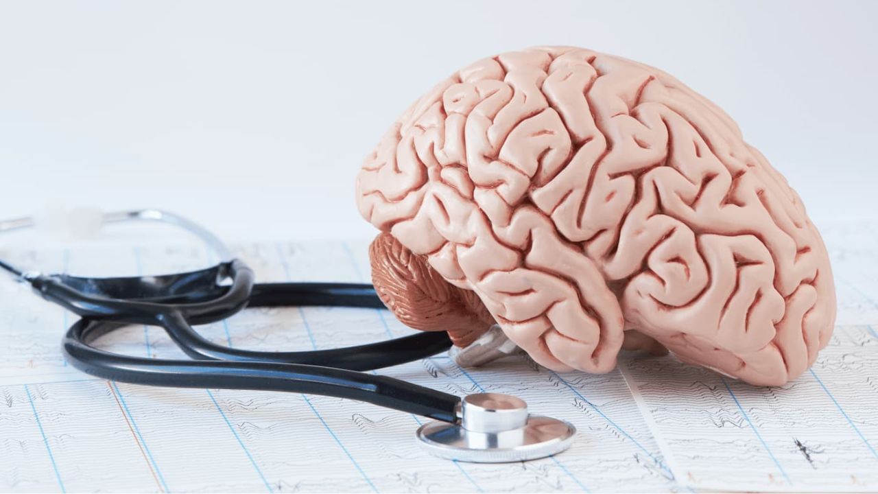 Brain Health: ఈ ఆకులు తింటే బుర్ర మస్తు పనిచేస్తది..! ఓ సారి ట్రై చేయండి..!