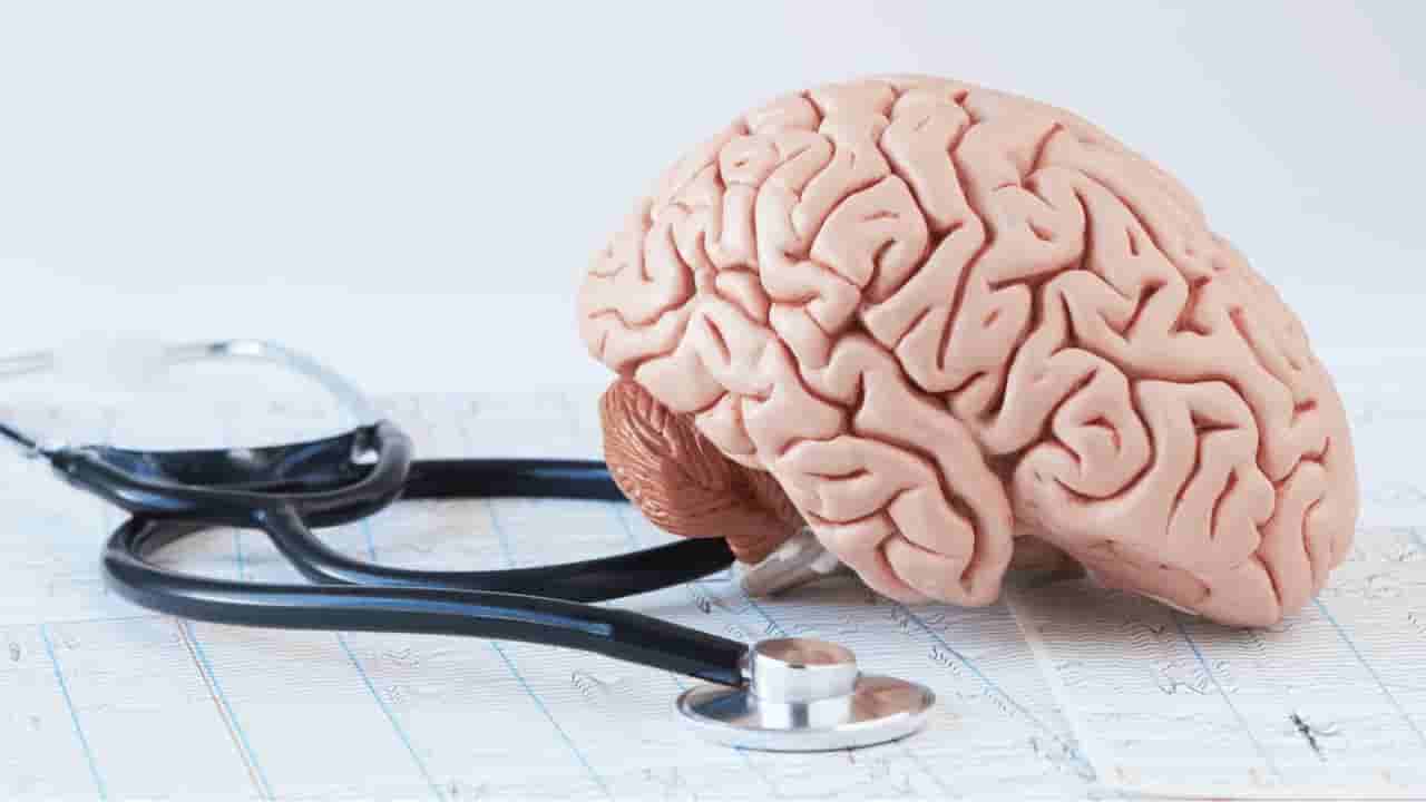 Brain Health: మైండ్ షార్ప్ కావాలంటే ఈ ఫుడ్స్ తినాల్సిందే..! మాంసం అవసరం లేదు..!