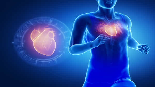 Heart Health: నాలుగు కాలాల పాటు గుండెజబ్బులు రాకుండా ఉండాలా?.. ఈ 4 అలవాట్లే శ్రీరామ రక్ష