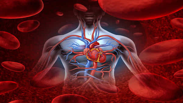 Heart Health: గుండె ఆరోగ్యానికి ఎరుపు రహస్యం.. ఈ పండ్లు మీ డైట్లో ఉంటే ఆ జబ్బులు పరార్..