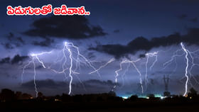 వచ్చే 3 రోజులు భారీ వర్షాలు.. వాతావరణ కేంద్రం హెచ్చరికలు జారీ వచ్చే 3 రోజులు భారీ వర్షాలు.. వాతావరణ కేంద్రం హెచ్చరికలు జారీ