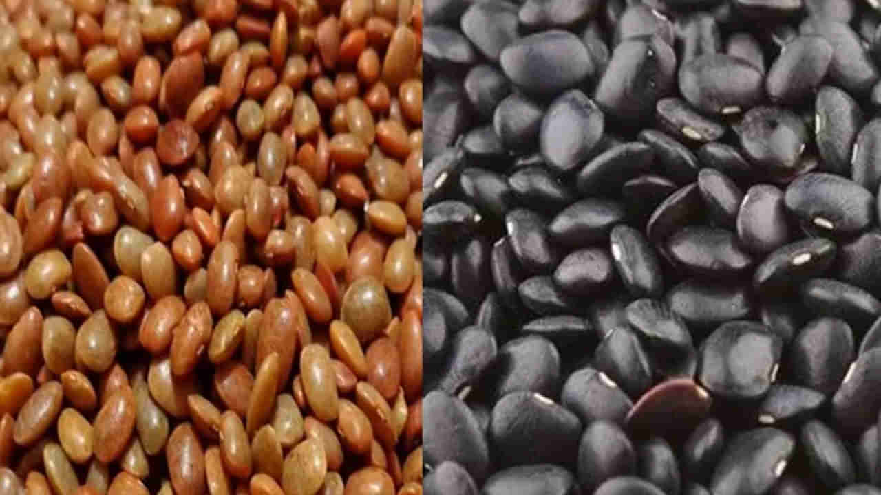 చీ..ఉలవలు తింటారా అనుకోవద్దు.. రేసు గుర్రంలా ఉరికే ఆరోగ్యం కోసం..