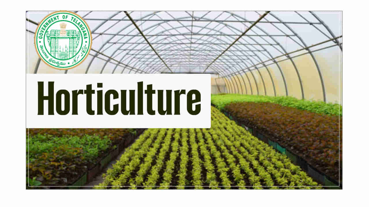 TG Horticulture Admisisons 2025: హార్టికల్చర్‌ పాలిటెక్నిక్‌ కోర్సుల్లో ప్రవేశాలకు నోటిఫికేషన్‌.. ముఖ్యవివరాలు ఇవే
