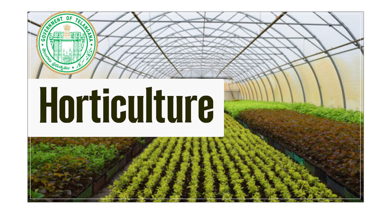TG Horticulture Admisisons 2025: హార్టికల్చర్ పాలిటెక్నిక్ కోర్సుల్లో ప్రవేశాలకు నోటిఫికేషన్.. ముఖ్యవివరాలు ఇవే