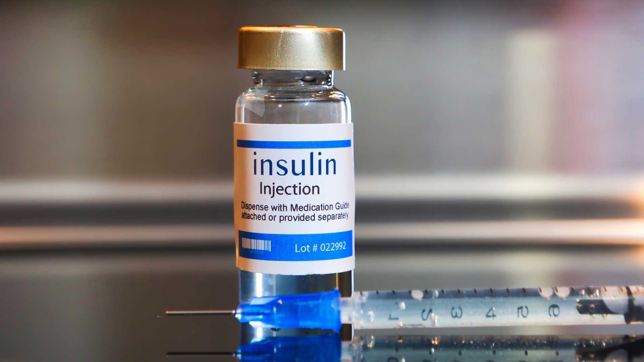 Insulin : షుగర్ సమస్యతో బాధపడుతున్నారా?.. ఇన్సులిన్ న్యాచురల్గా లభించే 11 మార్గాలివి..