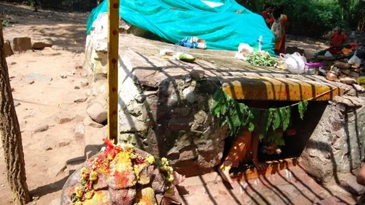 Andhra: 3 నెలల పాటు నల్లమల అభయారణ్యం క్లోజ్ - ఇష్టకామేశ్వరి ఆలయానికి కూడా నో ఎంట్రీ