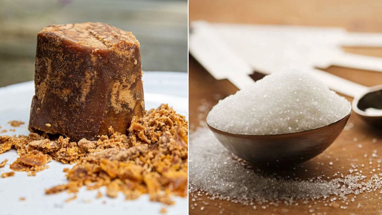 Jaggery Vs Sugar: ఆరోగ్యానికి ఏది మంచిది..? నిపుణులు ఏం చెబుతున్నారు..?