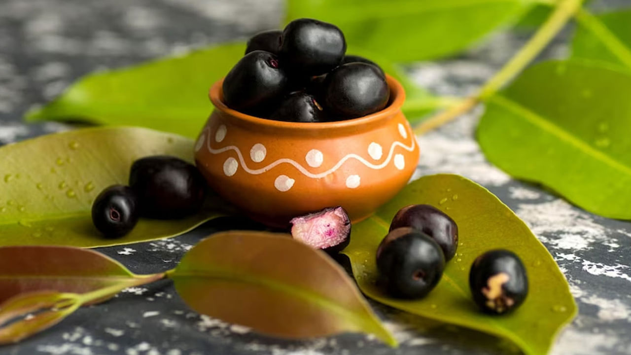 Jamun Tree Leaves