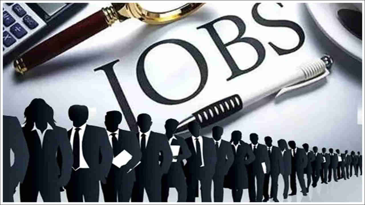 Job: వావ్.. ఉద్యోగం పోగొట్టుకున్న తర్వాత కూడా ప్రభుత్వం జీతం చెల్లిస్తుంది!
