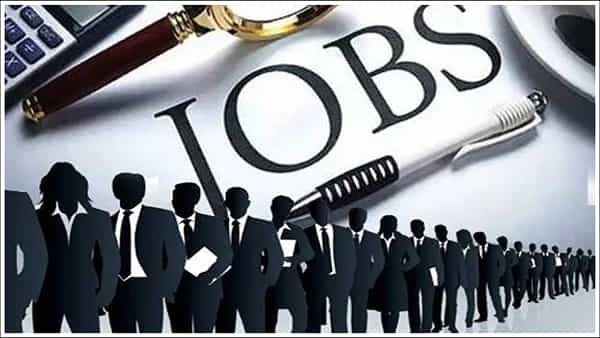 Job: వావ్.. ఉద్యోగం పోగొట్టుకున్న తర్వాత కూడా ప్రభుత్వం జీతం చెల్లిస్తుంది!