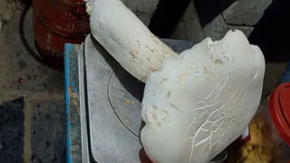 Andhra News:  సీఎం వినియోగించే హెలికాప్టర్‌లో సాంకేతిక లోపం.. కేంద్ర మంత్రికి త్రుటిలో తప్పిన ప్రమాదం