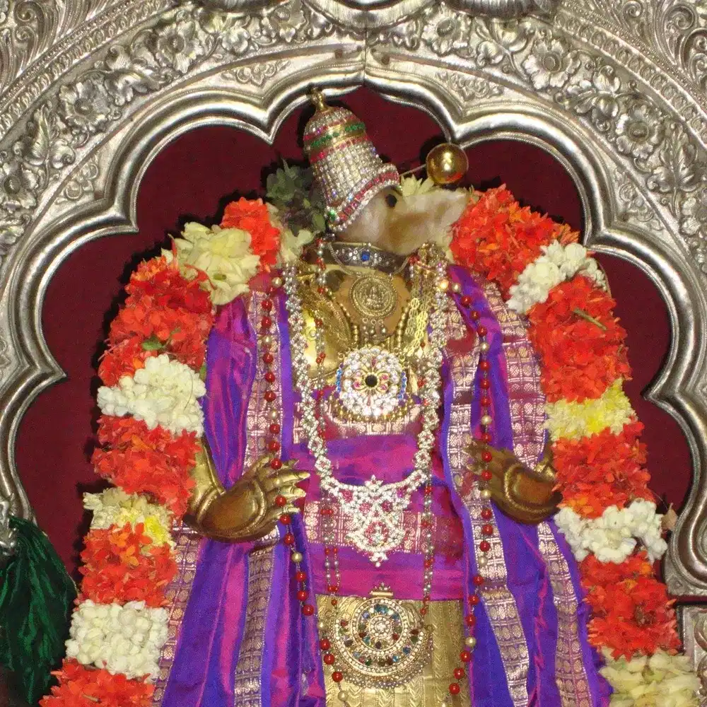 కలియుగ ప్రారంభంలో శ్రీ వారు లక్ష్మి దేవిని వెతుక్కుంటూ వైకుంఠం నుంచి భూమికి దిగి వచ్చినప్పుడు వరాహస్వామి ఆయనకు అశ్రయమిచ్చారని ఓ పురాణం కథనం. అందుకు ప్రతిగా తిరుమలను సందర్శించే భక్తులు తొలుత వరాహస్వామి ని దర్సించాకే తనను దర్శిస్తారని శ్రీనివాసుడు వరమిచ్చారట.
