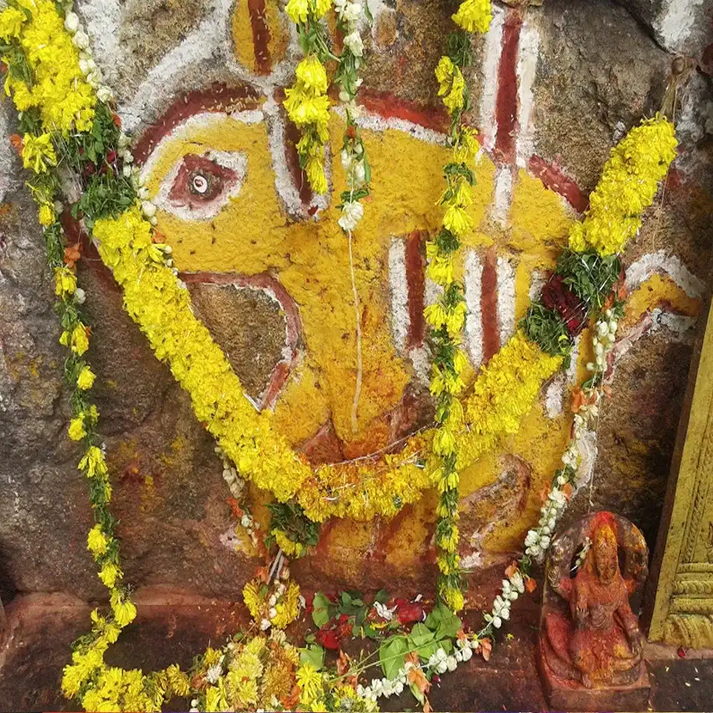 దశావతారాలలో మూడవ అవతారం వరాహావతారం ఈ .వరాహ అవతారం లో జల ప్రళయం లో చిక్కుకున్న ఈ భూమండలాన్ని తన కోరల మీద అదిదేవుడు రక్షించాడని పురాణాలూ చెబుతున్నాయి. మహాలక్ష్మిని సంబోధించే "శ్రీ" పదాన్ని చేర్చి శ్రీ వరాహమూర్తి అని ఈ అవతార మూర్తిని స్మరిస్తారు.
