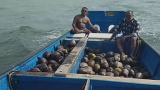 Viral: రోడ్డు నిర్మాణం కోసం తవ్వకాలు జరుపుతుండగా బయటపడిన కలశం.. ఓపెన్ చేసి చూడగా