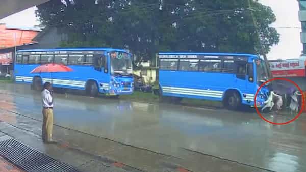 వర్షంలో బస్సుకోసం వెయిట్ చేస్తున్న మహిళలు.. అటుగా దూసుకొచ్చిన బస్సు.. ఆ తర్వాత ఏం జరిగిందంటే?