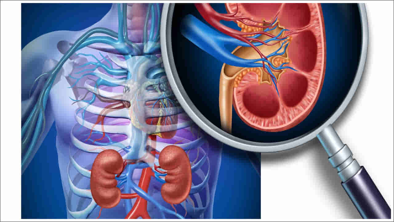 Kidney Problem: మీకు ఇలాంటి లక్షణాలు కనిపిస్తున్నాయా? మూత్రపిండాల సమస్య కావచ్చు!