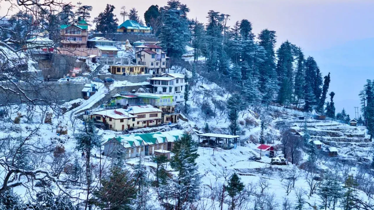 కుఫ్రి: సిమ్లా నుండి ఆకర్షణీయమైన కుఫ్రి గ్రామానికి చేరుకోవచ్చు. ఇది శీతాకాలంలో మంచు పర్వతాలకు, వేసవిలో పుష్పించే పచ్చిక బయళ్లకు ప్రసిద్ధి. ఈ ప్రదేశం సాహసోపేతమైన పర్యాటకులను బెస్ట్ ఆప్షన్. వారికి ట్రెక్కింగ్, స్కీయింగ్, గుర్రపు స్వారీ చేసే అవకాశాన్ని అందిస్తుంది. కుఫ్రి సమీపంలో ఉన్న మహాసు శిఖరం ఫోటోగ్రఫీ ప్రియులను ఆకట్టుకుంది. ప్రశాంతతను కోరుకునే ప్రజలకు కుఫ్రి గ్రామాం చాల నచ్చుతుంది.