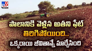 బెడ్‌పై నిద్రపోతుండగా.. యువకుడి పైకి పాకుతూ వచ్చిన రాచనాగు.. కట్ చేస్తే