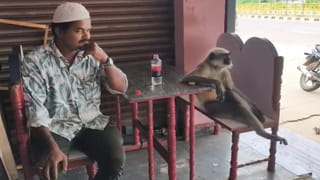 ఆదిలాబాద్ లో పిడుగుల భీభత్సం.. ఎనిమిది మంది దుర్మ‌రణం