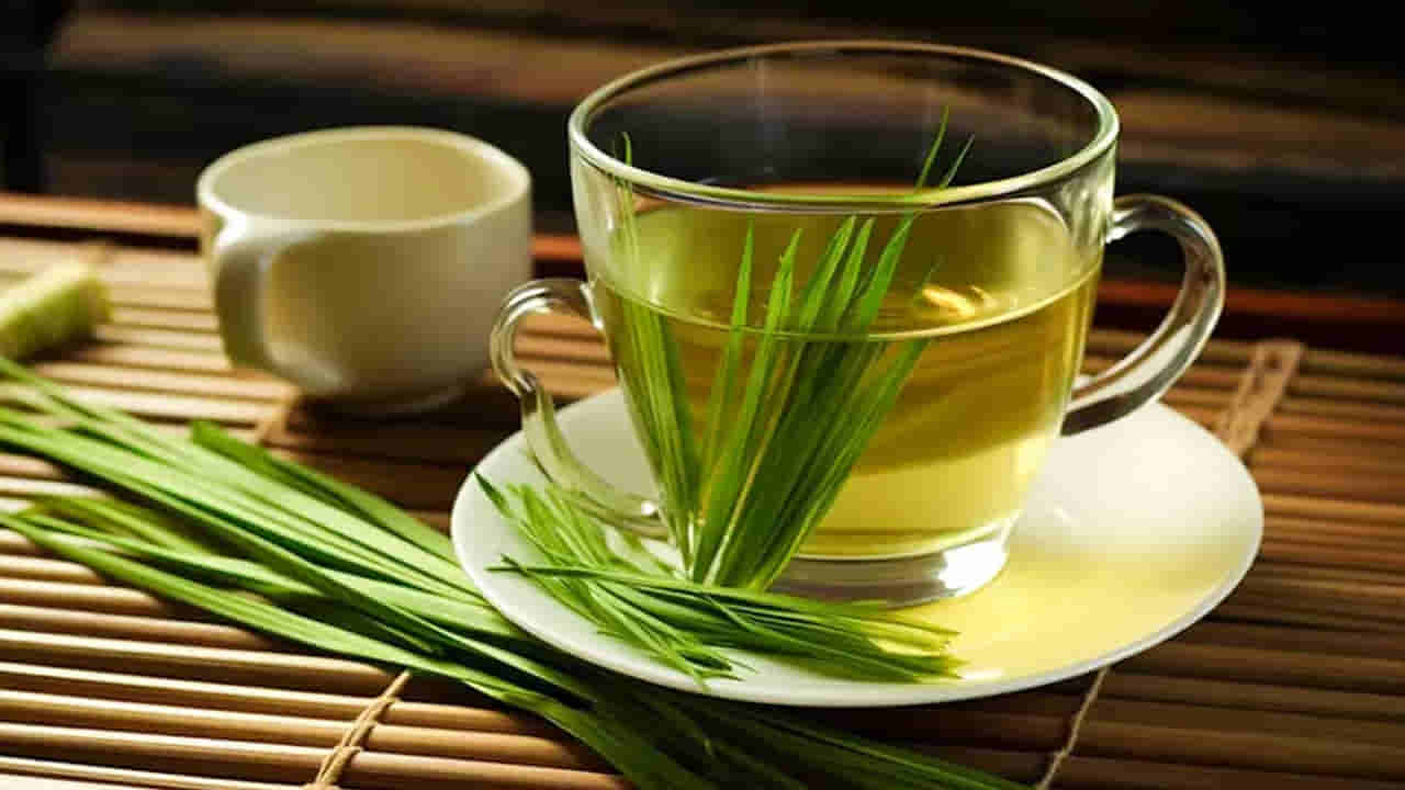 మీరు ఉదయమే ఒక కప్పు లెమన్ గ్రాస్ టీ తీసుకోండి.. బరువు తగ్గడంతో పాటు మరెన్నో ప్రయోజనాలు
