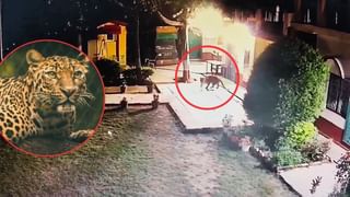 Viral Video: బెంగళూరు ర్యాపిడో కేసులో సంచలన వీడియో… డ్రైవర్‌పై మొదట దాడి చేసింది మహిళా ప్రయాణికురాలేనా?