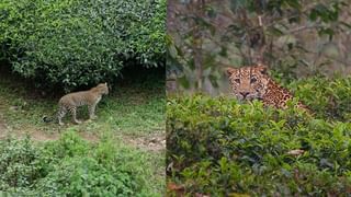 Operation Sindhu: భారత్‌ మాతాకీ జై.. దద్దరిల్లిన ఎయిర్‌పోర్ట్‌! ఇరాన్‌ నుంచి స్వదేశానికి విద్యార్థులు.. ఎంతమంది వచ్చారంటే?