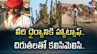 బెడ్‌పై నిద్రపోతుండగా.. యువకుడి పైకి పాకుతూ వచ్చిన రాచనాగు.. కట్ చేస్తే
