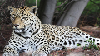 లాటరీలో వచ్చిన రూ.30 కోట్లు ప్రియురాలి అకౌంట్లో వేస్తే.. ఆమె మరొకడితో జంప్‌! హోటల్‌ రూమ్‌లో పట్టుకుంటే..