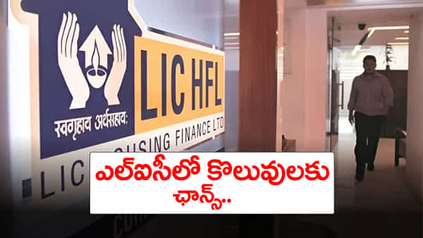 LIC Recruitment 2025: డిగ్రీ అర్హతతో ఎల్ఐసీలో ఉద్యోగాలకు నోటిఫికేషన్.. తెలుగు రాష్ట్రాల్లో ఎన్ని పోస్టులున్నాయంటే?