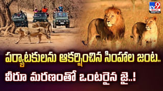 మీలో ఈ లక్షణాలు ఉంటే.. డి విటమిన్‌ లోపమే కారణం