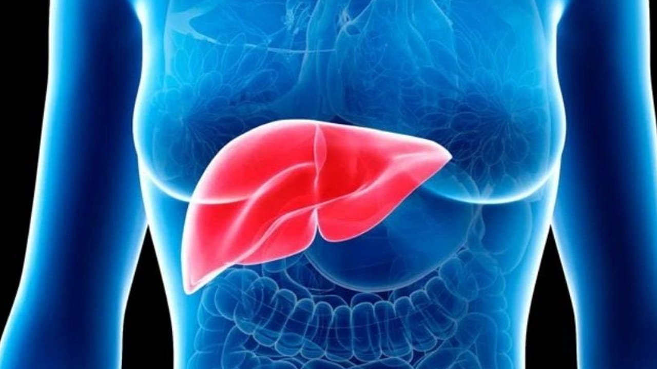 అలాగే గ్రీన్ టీ కాలేయంలో కొవ్వు పేరుకుపోకుండా చేస్తుంది. అందుకే కనీసం రోజుకు ఒక కప్పు గ్రీన్ టీ తాగడం వన కాలేయ పనితీరు బాగుంటుందంట. అలాగే కాఫీ కూడా కాలేయ సంబంధ వ్యాధులు రాకుండా అడ్డుకుంటుదని చెబుతున్నారు ఆరోగ్య నిపుణులు. ముఖ్యంగా బ్లాక్ టీ చాలా ఉత్తమమైన ఎంపిక.