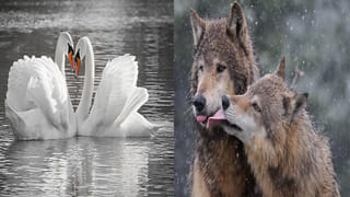 పేరెంటింగ్ టిప్ప్ : మీ పిల్లల అల్లరే వారి భవిష్యత్తు చూపిస్తుందని తెలుసా?