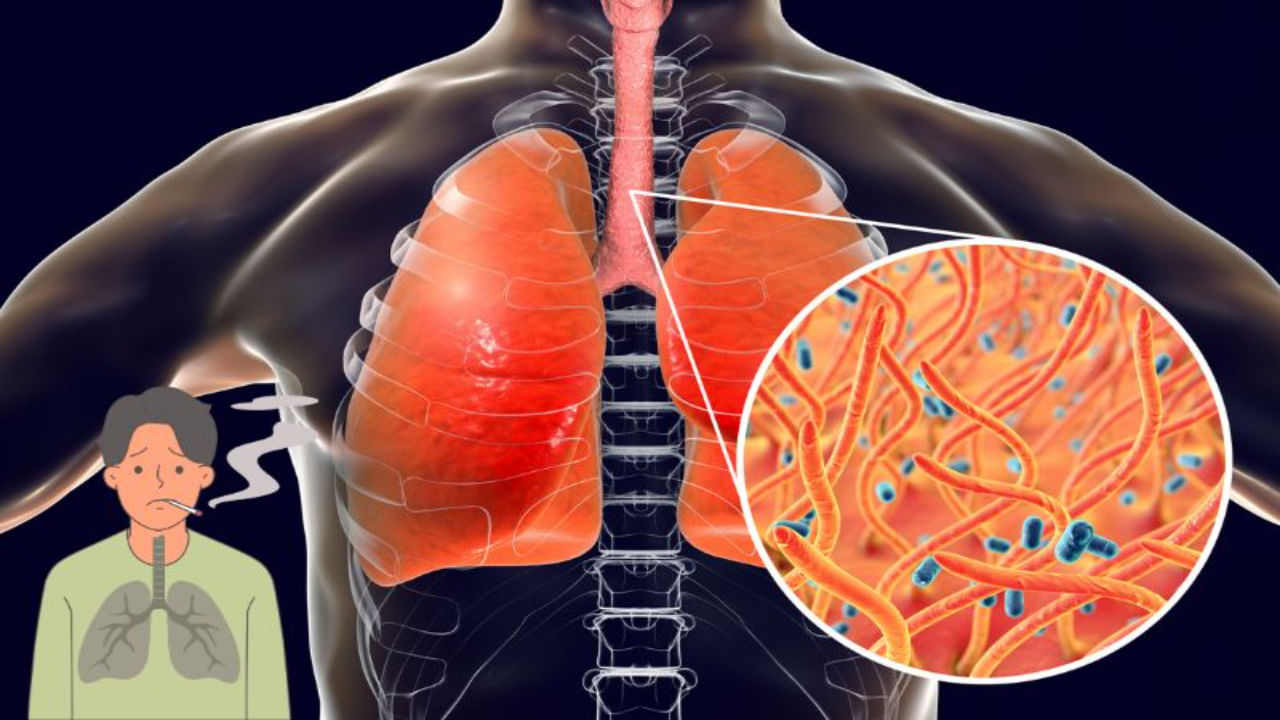 Healthy Lungs: ఊపిరితిత్తులలో కఫం, శ్లేష్మం వెంటనే క్లీన్ అవ్వాలా.. ఈ ఇంటి చిట్కాలు పనిచేస్తాయి!