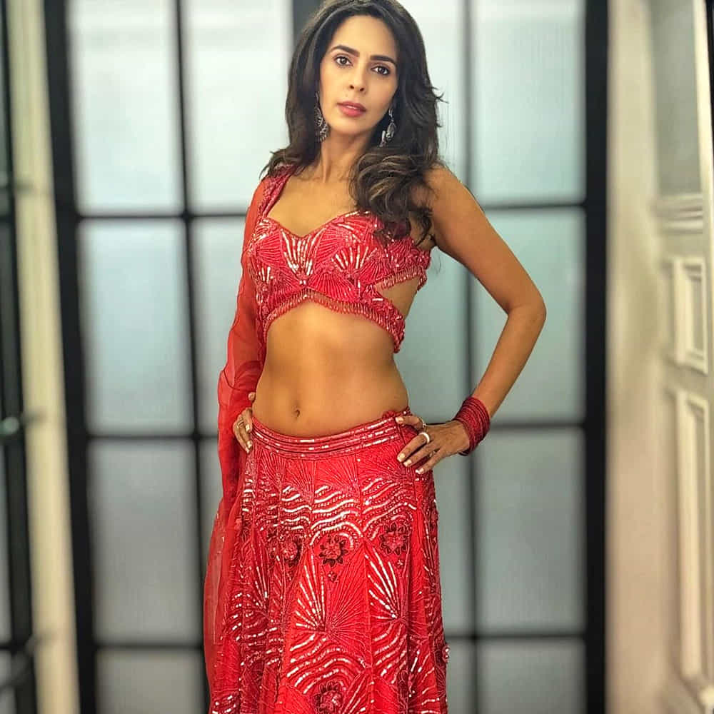 కెరీర్ బిగినింగ్ లో ఈ చిన్నది ఎయిర్ హోస్టెస్‌గా పని చేసింది. అదేసమయం మల్లిక ఢిల్లీకి చెందిన పైలట్ కరణ్ సింగ్ గిల్‌ను ప్రేమించి వివాహం చేసుకుంది. నాలుగేళ్ల తరువాత, బాలీవుడ్‌లో ఆఫర్స్ రావడంతో ఆమె విడాకులు తీసుకుంది. పెళ్లయిందని, విడాకులైందన్న సంగతి తెలిస్తే బాలీవుడ్లో తన ఎదుగుదలకు అడ్డు వస్తుందని భావించి ఆమె తనకు పెళ్ళైందన్న సంగతిని దాచిపెట్టింది. ఆతర్వాత బాలీవుడ్ లో హాట్ బ్యూటీగా పేరు తెచ్చుకుంది.