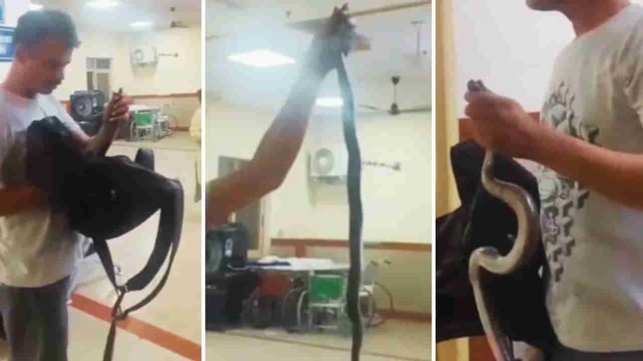 Viral Video: కరిచిన పామును సంచిలో పెట్టకుని ఆస్పత్రికి... షాకింగ్ సీన్తో రోగులు పరోగు పరుగు