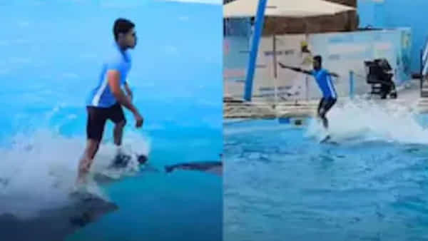 Viral Video: డాల్ఫిన్లతో సర్ఫింగ్.. అదరగొట్టాడుగా..! నెట్టింట ఆకట్టుకుంటున్న వైరల్ వీడియో